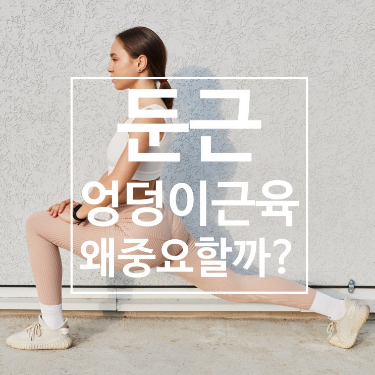  탄현 헬스장 엉덩이 근육(둔근)이 중요한 이유