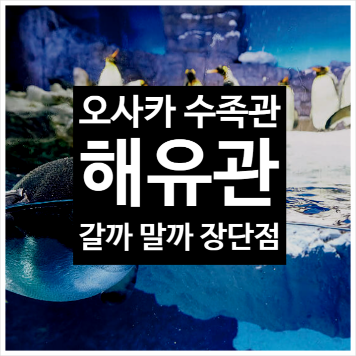  오사카 수족관 해유관 가이유칸 입장권 입장료 예약방법 추천여부