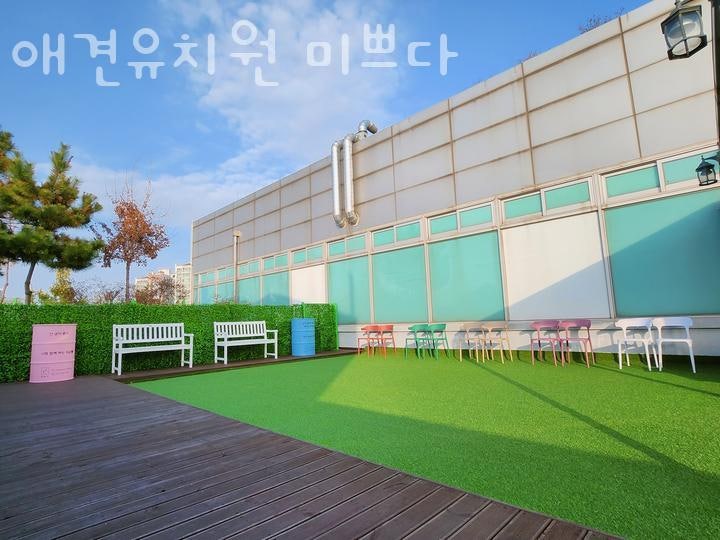 애견유치원 미쁘다