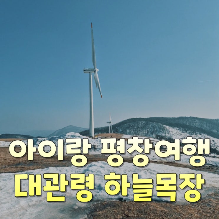 아이랑 평창 자유여행 - 대관령 하늘목장 양떼목장 트랙터마차 먹이주기체험장 하늘카페