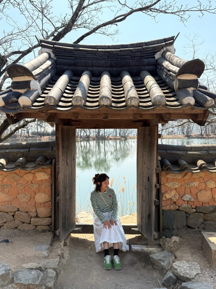  밀양 여행 위양지에서 봄나들이