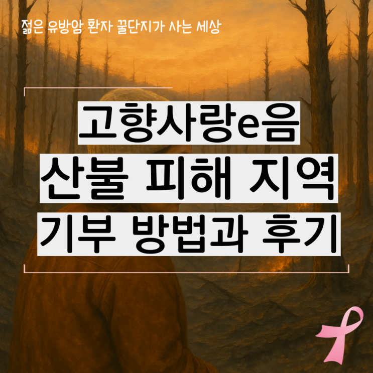  고향사랑e음 산불 피해 지역 기부 방법과 후기