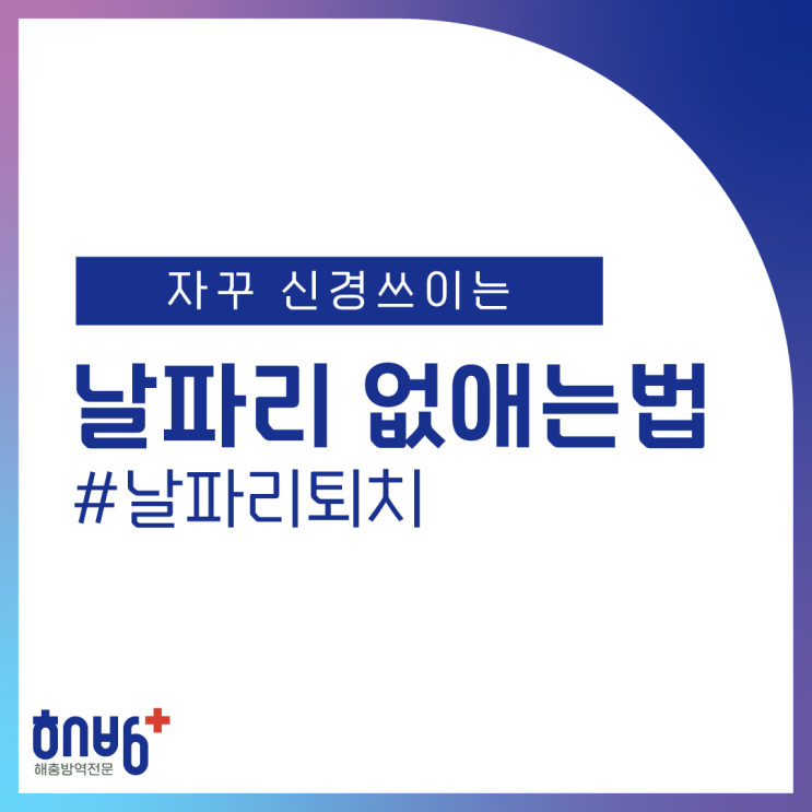  날파리 없애는법 퇴치 방법 고민이라면