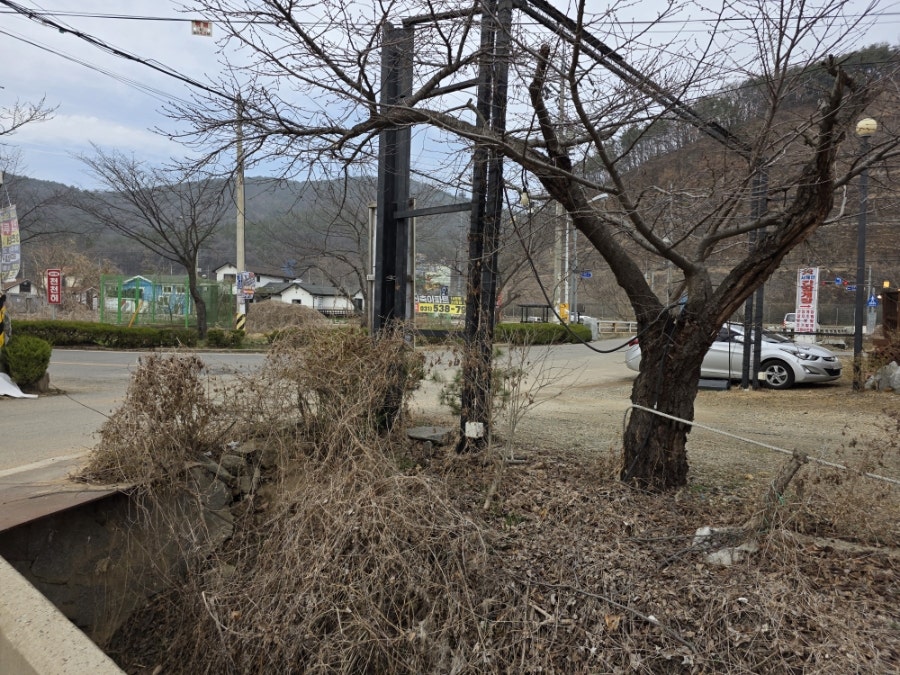 카페 큐 사진 2