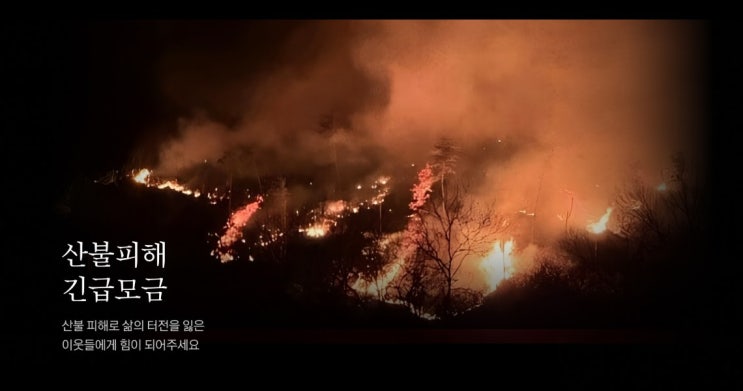  카카오같이가치에서 댓글로 산불 피해 돕기