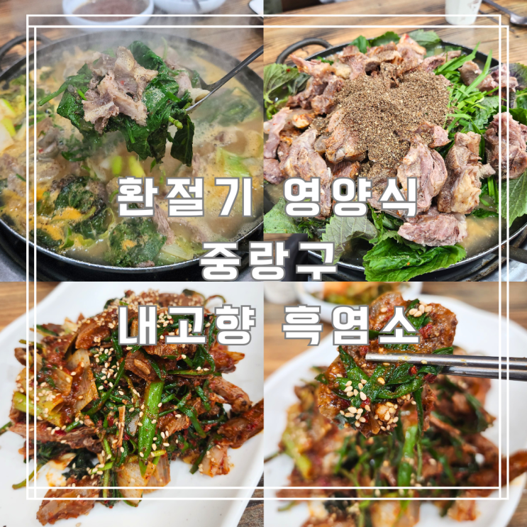  중랑구 흑염소 환절기 영양식 내고향 흑염소