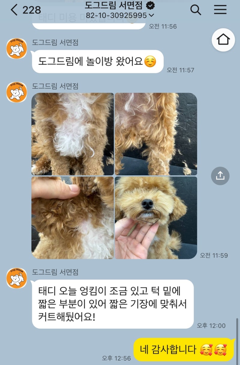 사진 9