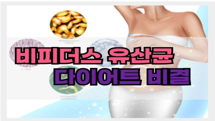 비피더스 유산균, 내 몸에 작동하는 놀라운 다이어트 비결