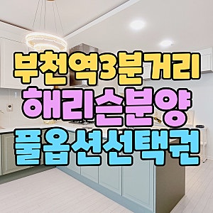 부천오피스텔매매 해리슨 역세권 3분 옵션 제공