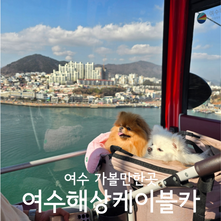 여수애견동반여행 가볼만한곳 여수해상케이블카 돌산정류장 할인 예약 후기