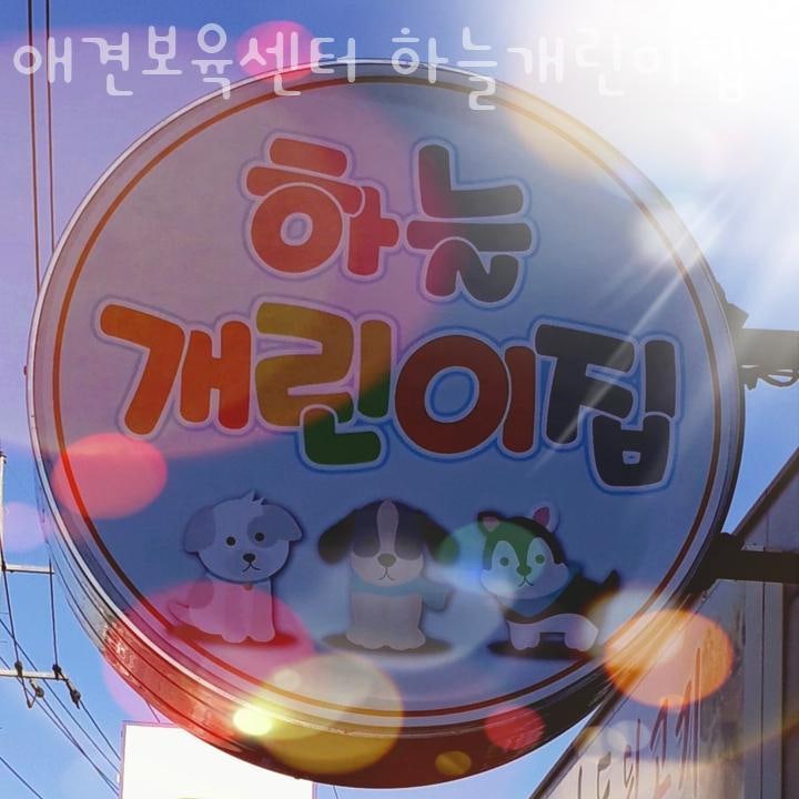 사진 2
