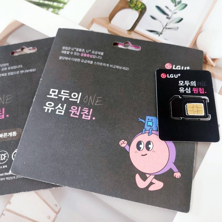  모두의 유심 원칩 LG선불폰 비대면 개통 절차