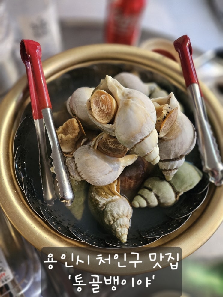  [용인시 처인구] 노포 감성 골뱅이 맛집 '통골뱅이야' 추천
