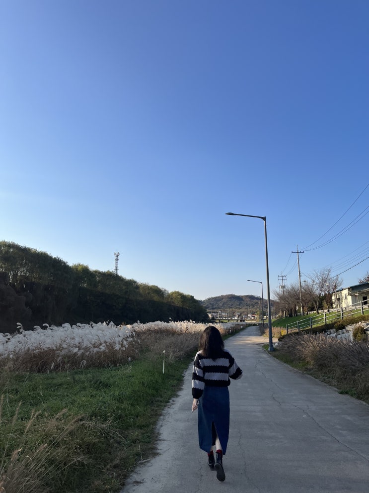  2024년 11월은
