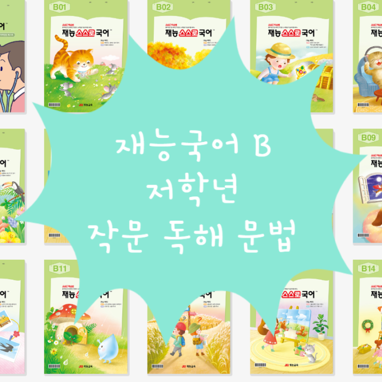  재능국어 B등급 후기  문법·논술·독해를 한 권으로!