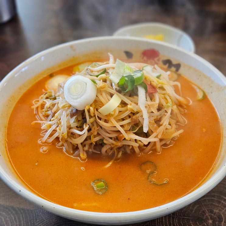  울산 신정동 내가 애정하는 나가사키 짬뽕 맛집 히야꾸 후기