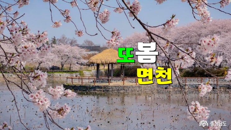 충남 당진 4월 봄축제 또봄면천 · 2025 당진 문화예술축제 기본정보 공연 라인업 타임테이블 충남 당진 4월 봄축제 또봄면천 · 2025 당진 문화예술축제 기본정보 공연 라인업 타임테이블
