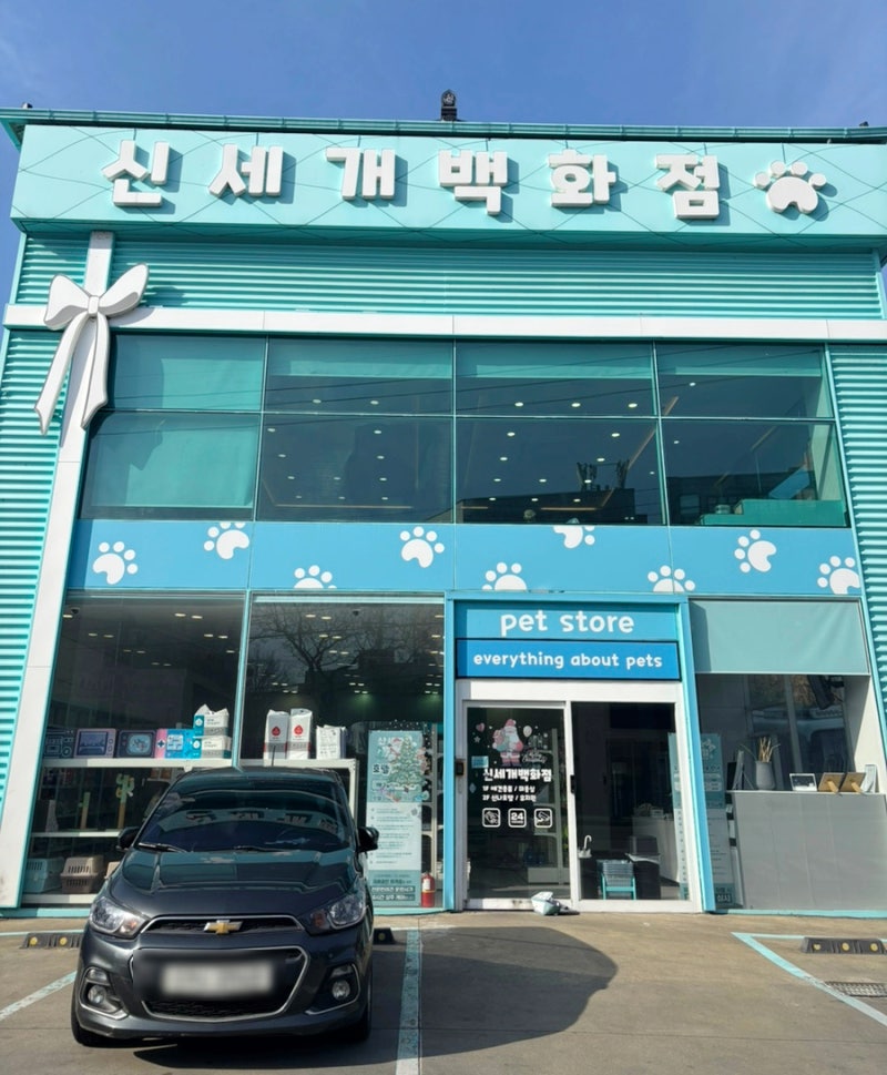 사진 2