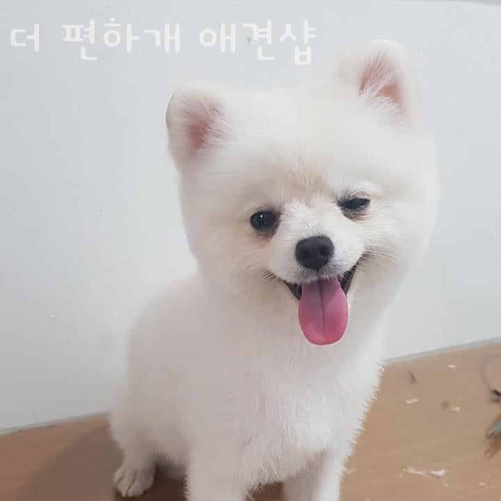 사진 2