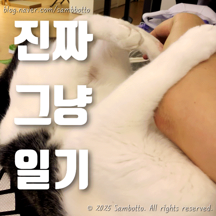  진짜 그냥 일기 | 역시 회식은 애슐리에서 점심회식이지, 저녁은 곱창조져, 대만에서 온 뻬이따이(드링크백) 개시