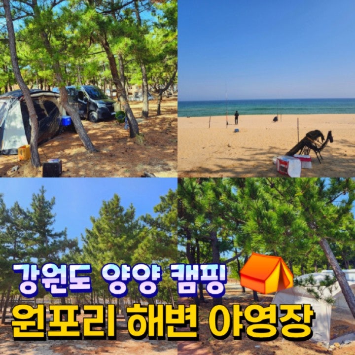 사진 5