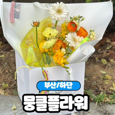  [부산/하단] 부산꽃집 인스타감성 가득한 꽃집  "뭉클플라워" 솔직후기