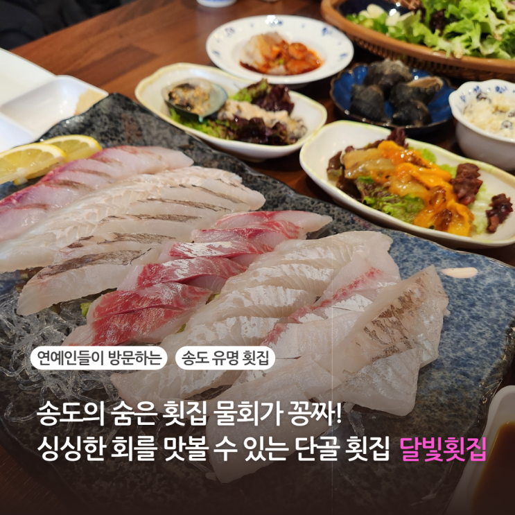  인천 송도횟집 추천 신선한 회 물회 맛집 송도달빛횟집(송도달빛 축제공원역 주차 가능)
