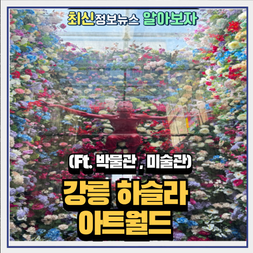  강릉 하슬라 아트월드 다녀온 후기 (Ft. 박물관,미술관)