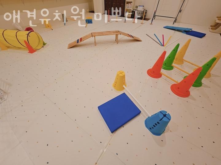 사진 2
