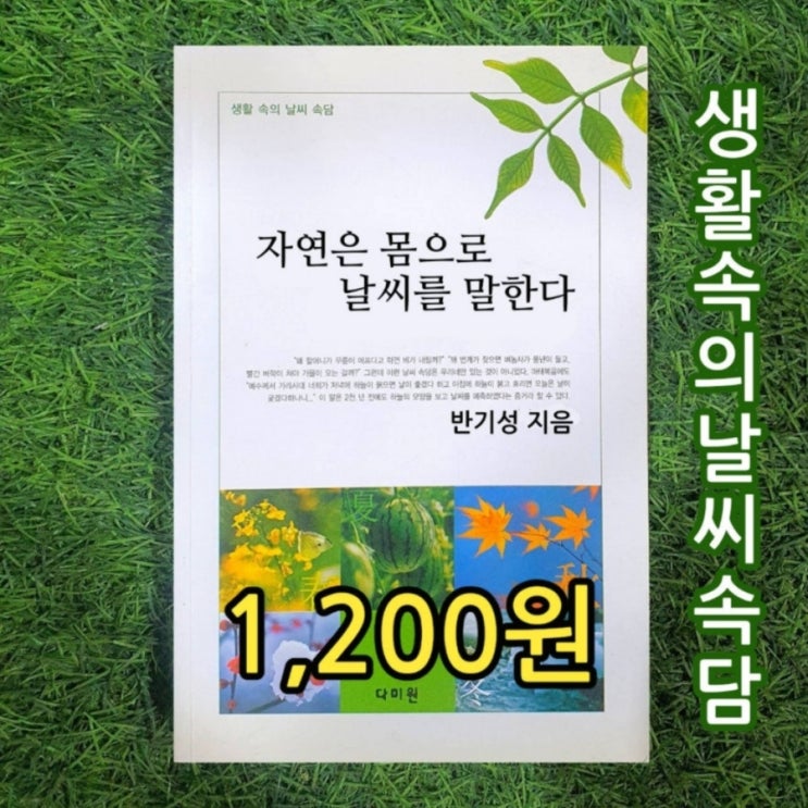  반기성 생활 속의 날씨 속담 책 다미원 자연은 몸으로 날씨를 말한다 1,200원 중고책 팔기, 중고책 판매, 중고책 팝니다.날씨관련책