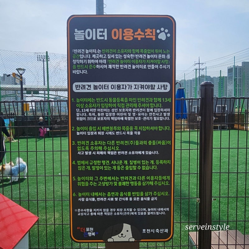 사진 6