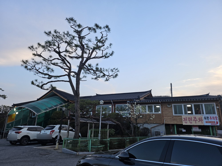  천안 봉명 로컬맛집 동원정 오리백숙의 끝판왕