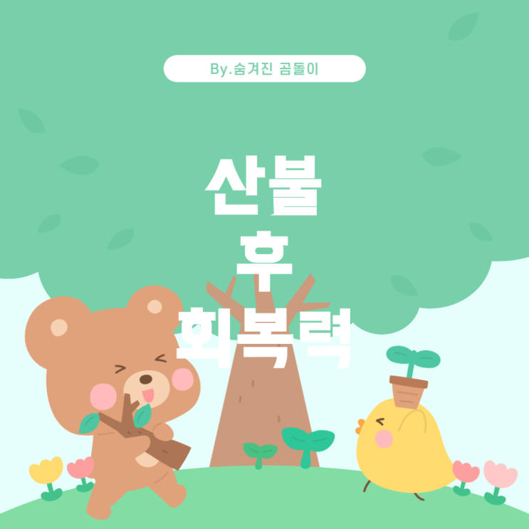  불이 남긴 생태계의 회복력 산