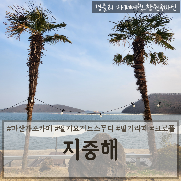  마산가포카페 제주도감성오션뷰카페 수석분재갤러리카페 '지중해'
