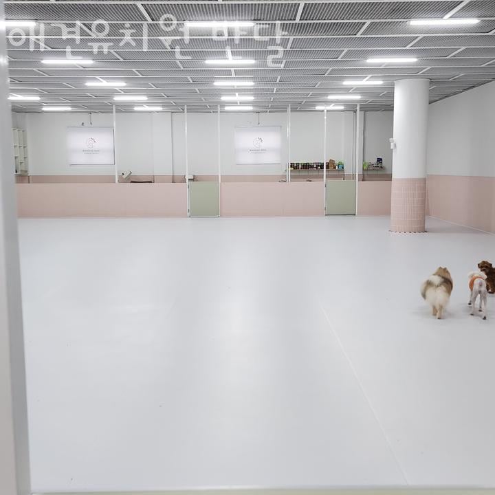 사진 4