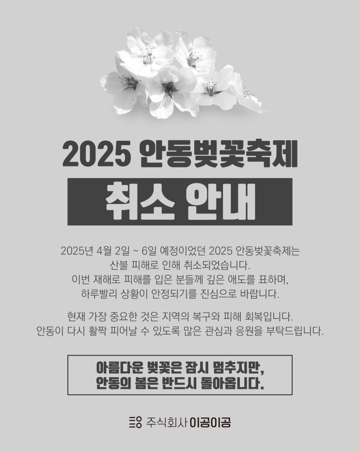 의성 산불, 안동까지 번졌다.. 벚꽃축제 전면 취소