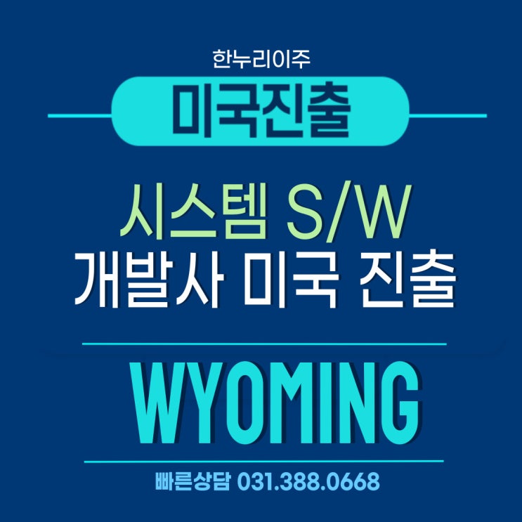  시스템 소프트웨어 개발회사의 와이오밍주 법인설립: 미국시장 진출