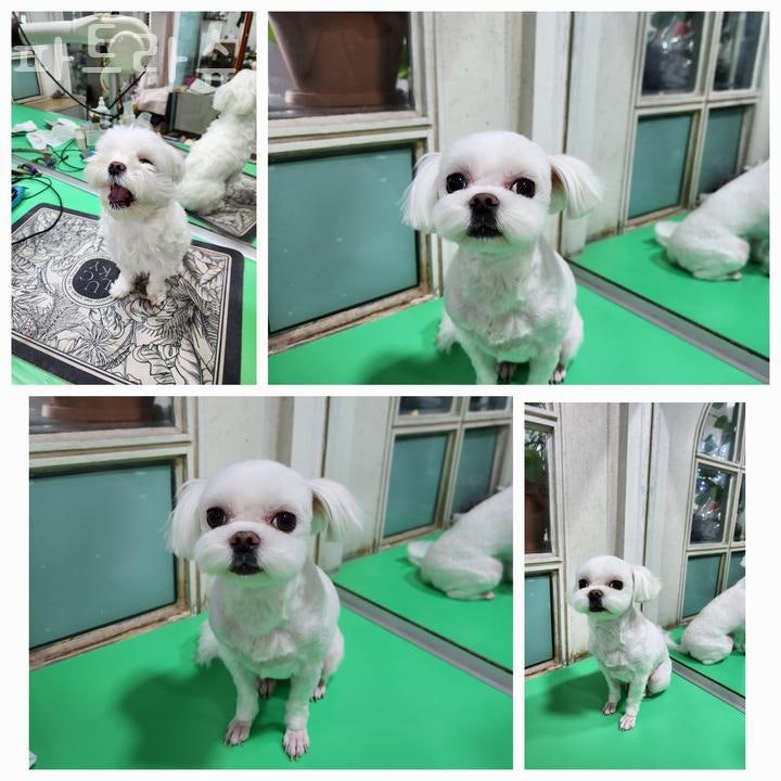 사진 6