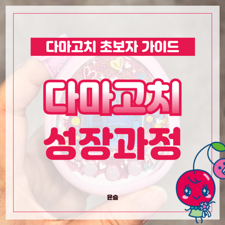  다마고치 성장과정