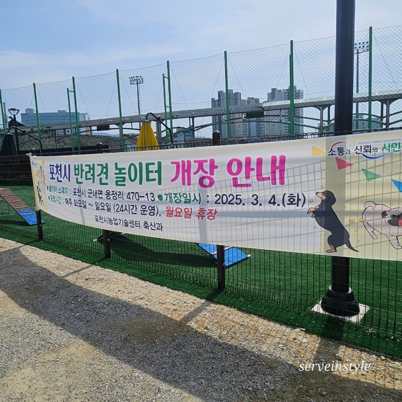 사진 4
