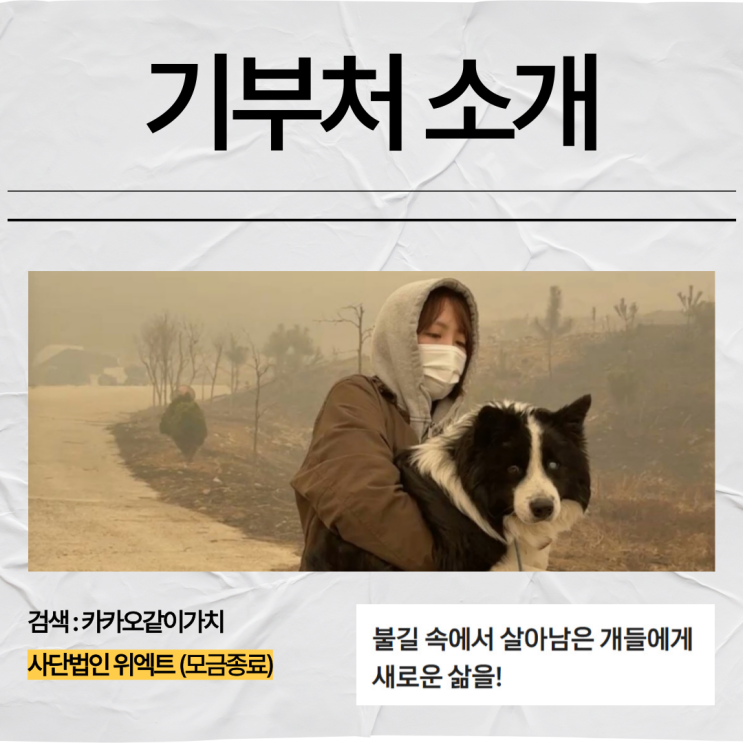 <b>산불피해</b> <b>기부</b>지원 정보기업과 연예인 <b>기부</b>까지