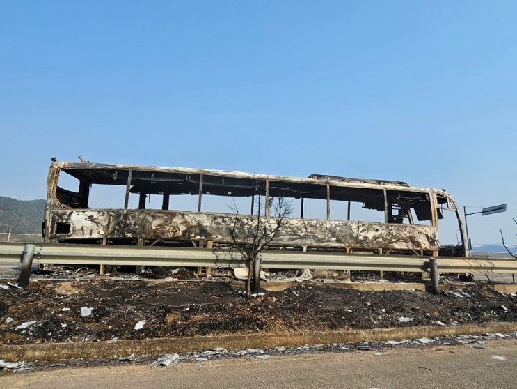 영덕 <b>산불</b> - 영덕 <b>산불</b> 드디어 <b>주불 진화</b> 완료!(참혹한 현장으로... 