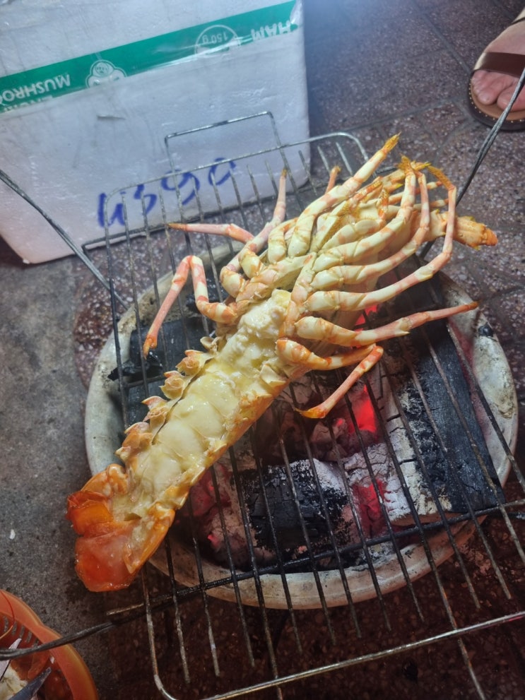  나트랑여행필수코스 길거리 랍스터 인당 한마리씩 고고!