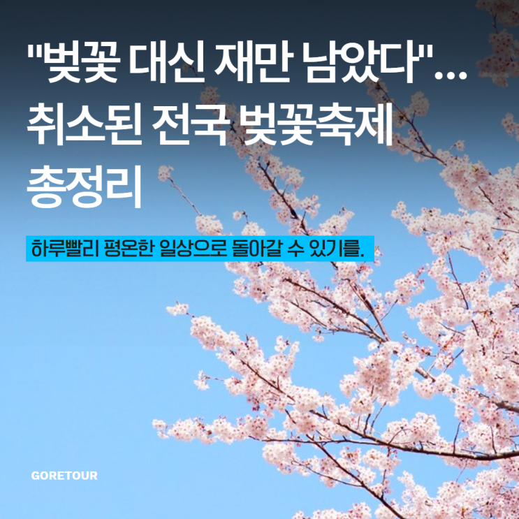  "벚꽃 대신 재만 남았다"… 취소된 전국 벚꽃축제 총정리