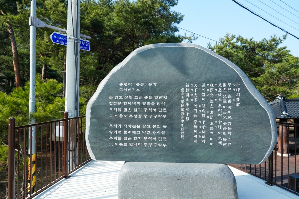 중평솔밭 사진 4