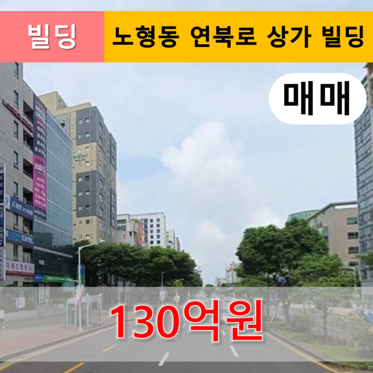  《제주도 빌딩》 노형동 연북로 빌딩 매매