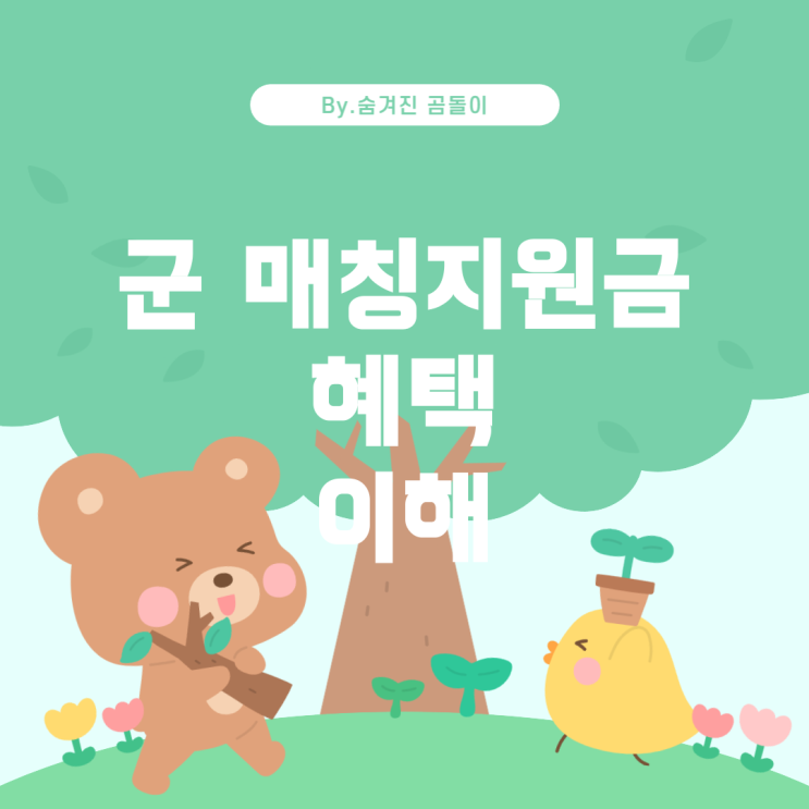 군 매칭지원금: 규칙과 혜택 이해하기