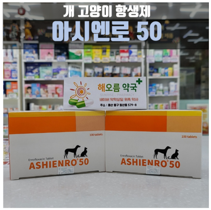 강아지 고양이 감염증 치료제 아시엔로 50 리뷰 (효능 효과 주의점)