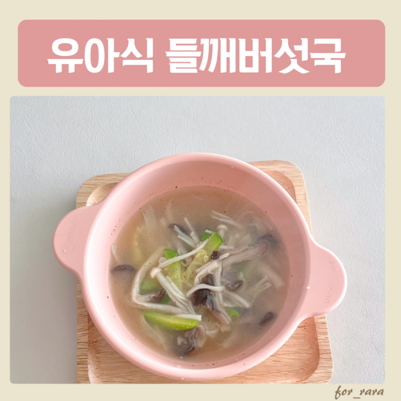 유아식 들깨버섯국 두돌아기 국물 반찬