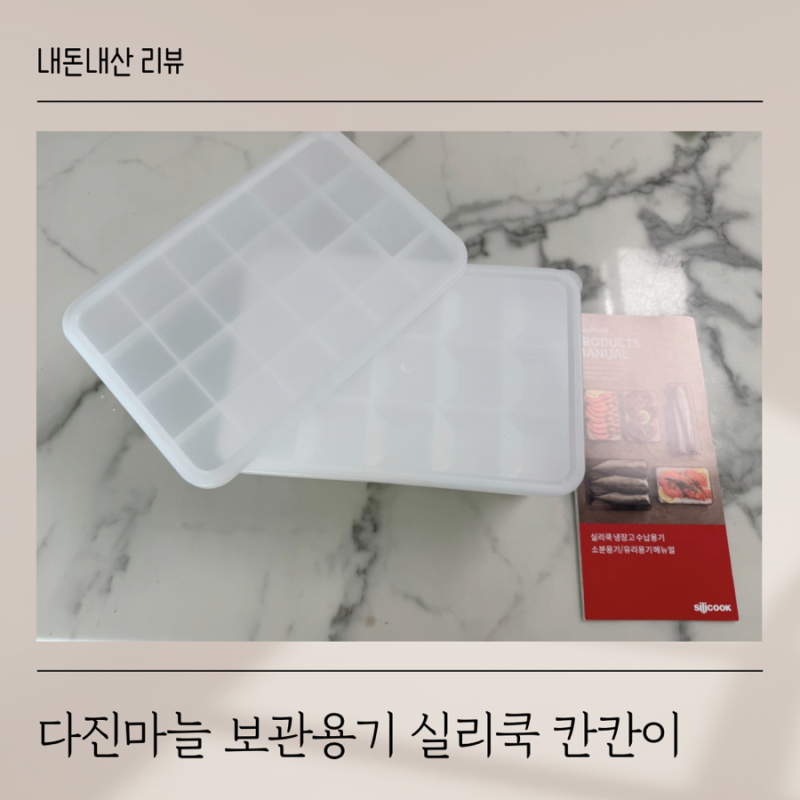 실리쿡 칸칸이 소분 용기로 다진 마늘 보관하기